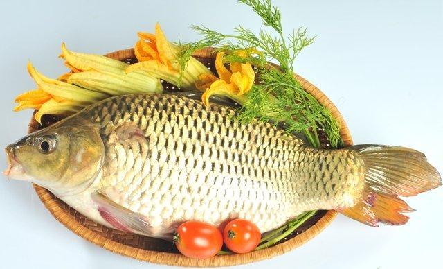 Sức khỏe, đời sống: Bộ phận nào ở cá thường tích tụ độc tố? Cc3a1